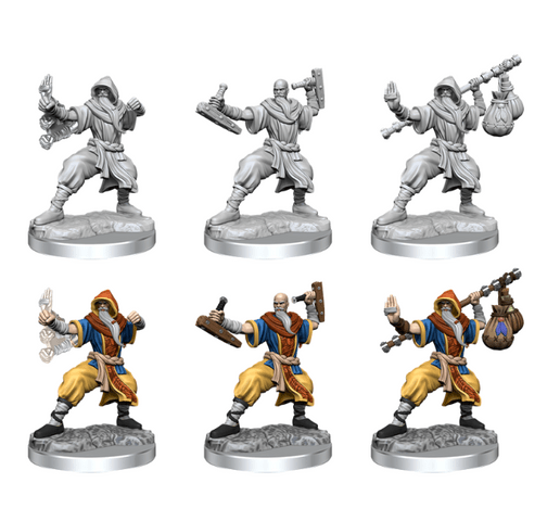 DND FRAMEWORKS: HUMAN MONK MALE